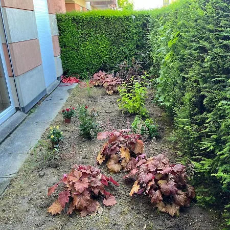 2 Bedrooms And Garden شقة *